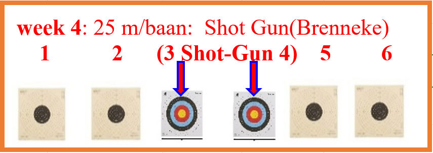 shotgun